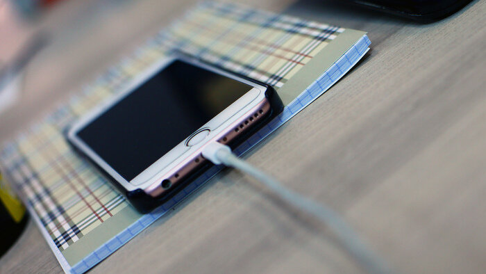 Самый милый тренд: в сети выяснили, как распознать хорошего парня - Новости Калининграда | Фото: архив «Клопс»