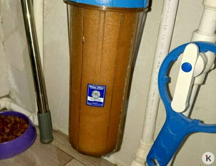 В семье Ксении меняли фильтр на выходных — он оказался полон ржавых хлопьев | Фото: Ксения