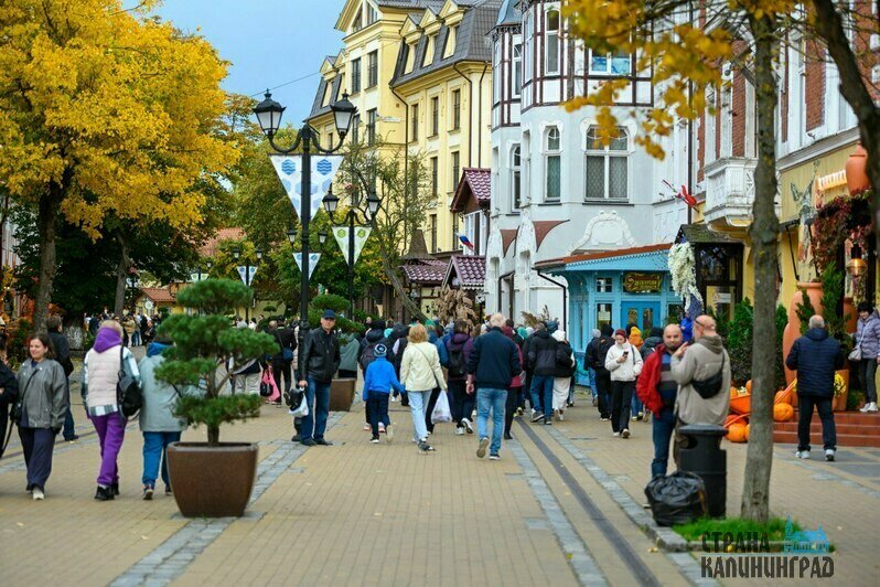 Зеленоградск привлекает гостей ухоженностью и уютом | Фото: Александр Мелехов