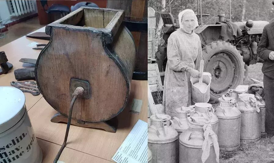 Прототипы для реконструкции. | Фото: БФУ им. И. Канта