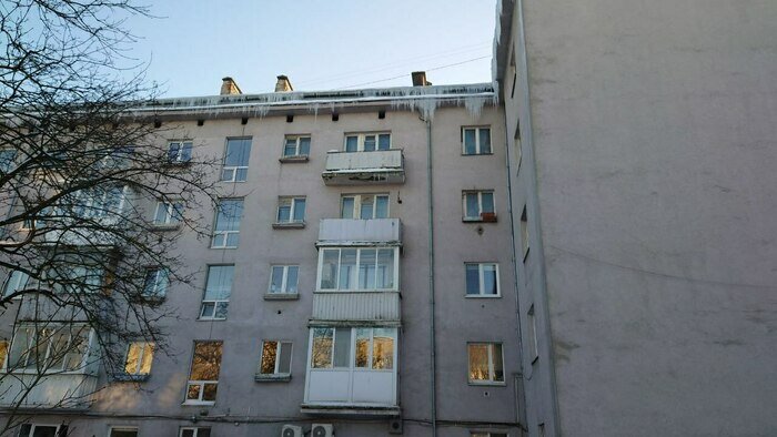 Ледяной оскал: на карнизах калининградских домов выросли метровые сосульки (фото) - Новости Калининграда | Фото: Tala