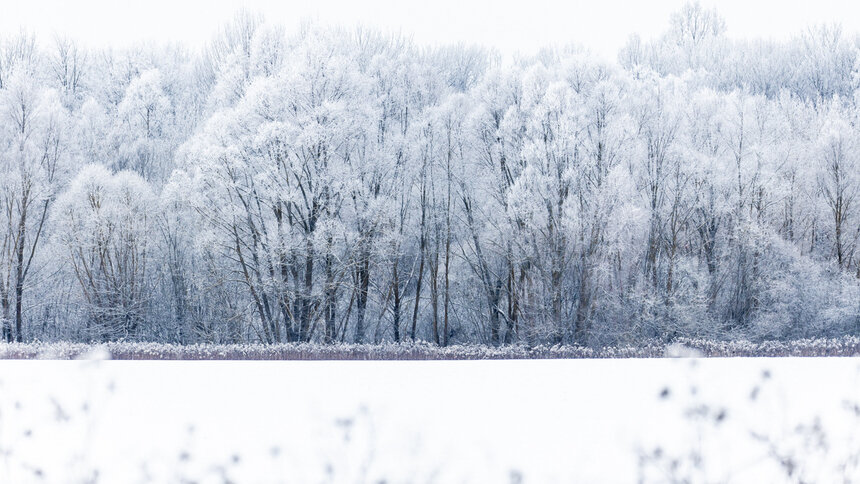 Неприятный юго-восточный ветер и привычный мороз: калининградцам рассказали о погоде в регионе 16 февраля - Новости Калининграда | Фото: Александр Подгорчук / Архив «Клопс»