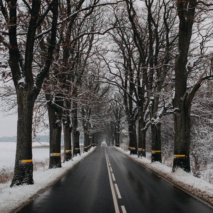 Что посмотреть за один день в Калининградской области, часть 1: «метки грешников», мощная мельница и бобёр во дворике  - Новости Калининграда | Фото: архив Сергея Привалова