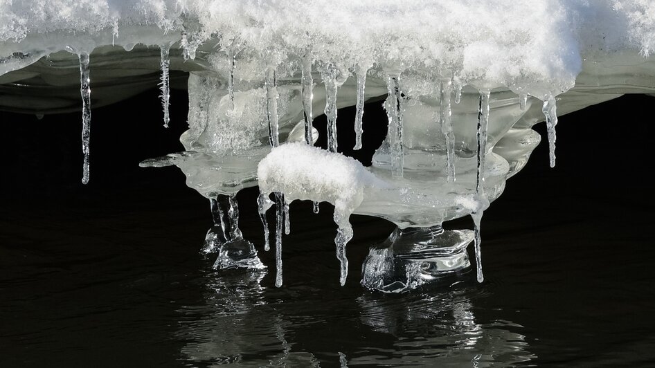 Причудливые наплывы льда снял житель Черняховска на Анграпе (фото)   - Новости Калининграда | Фото: Юрий Таркин