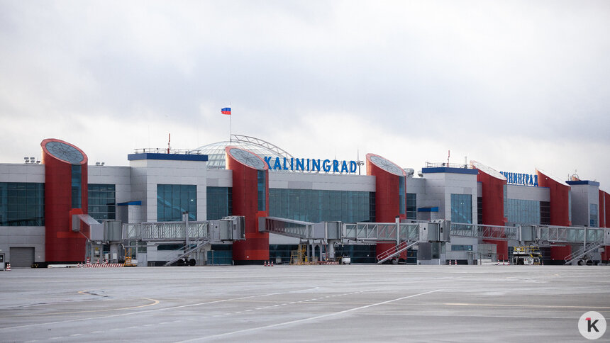 «У таможни постанова с пассажиром из Храброво»: музыкальный дайджест калининградских новостей за неделю (видео)   - Новости Калининграда | Фото: Александр Подгорчук / Архив «Клопс»