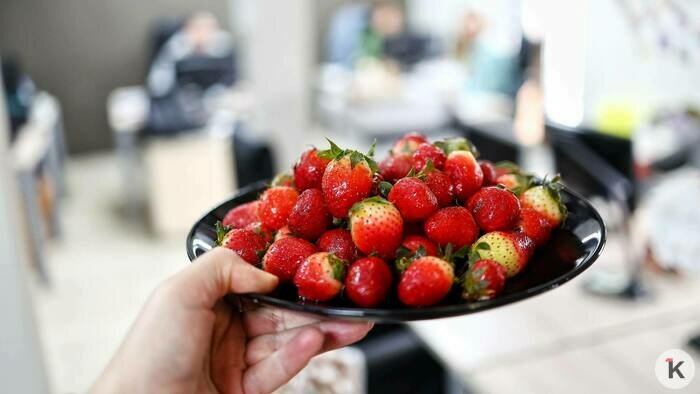 Мороз неслыханной щедрости: калининградские торговцы готовы уступать клубнику со скидкой до 95% (фото)  - Новости Калининграда | Фото: Александр Подгорчук / «Клопс»