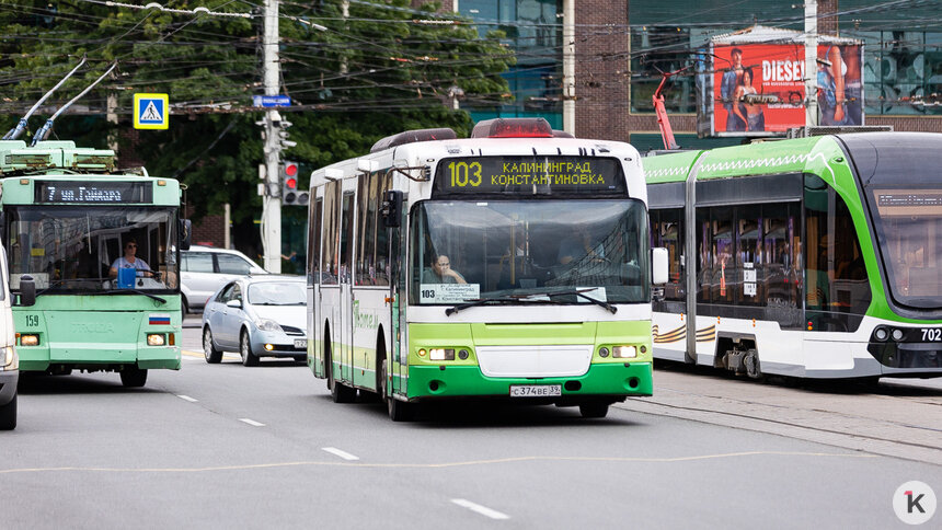 «Клопс» не раз вступался за права пассажиров и номинируется на национальную премию: калининградцы, поддержите нас! - Новости Калининграда | Фото: Александр Подгорчук / Архив «Клопс»
