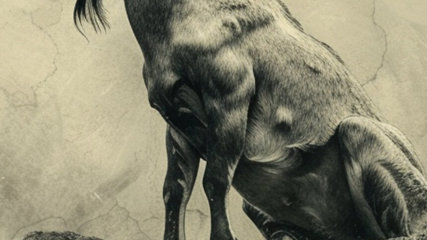 Овны внезапно поймут что-то важное, а Весам предстоит сделать выбор: гороскоп на выходные - Новости Калининграда