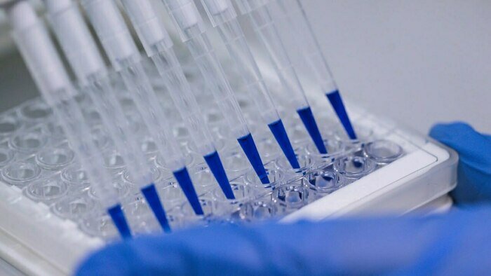 В кампусе «Кантиана» внедрят систему цифровой визуализации для клеточных технологий - Новости Калининграда