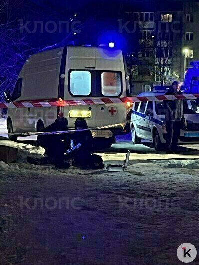 Место происшествия  | Фото: Светлана Фарина/«Клопс»