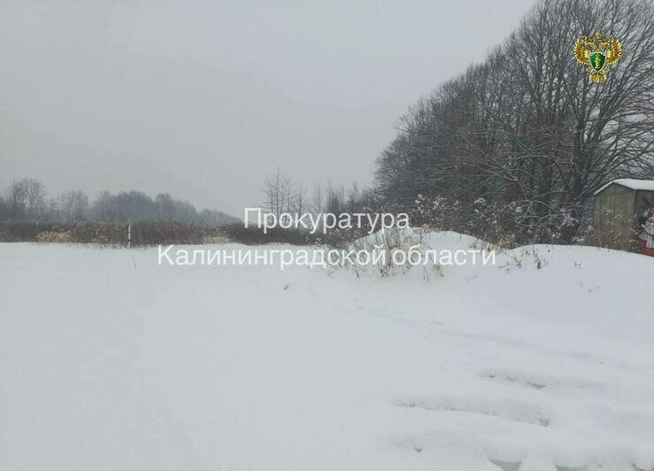 В Зеленоградском районе после проверки прокуратуры ликвидировали незаконную свалку - Новости Калининграда | Фото: прокуратура Калининградской области