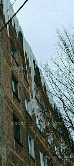 В Калининграде мороз вырастил под крышей жилого дома пятиметровую сосульку (фото)   - Новости Калининграда | Фото: «Клопс»