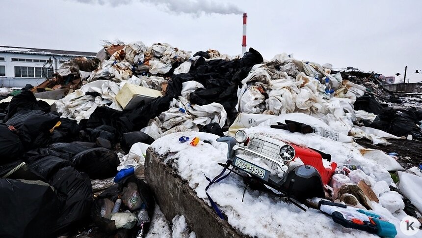 Власти Калининграда будут сами штрафовать УК за неповоротливость, сейчас это прерогатива области - Новости Калининграда | Фото: Александр Подгорчук / Архив «Клопс»