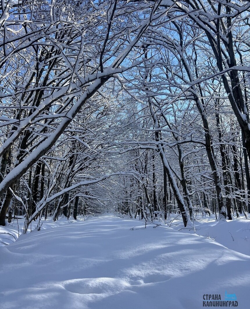 Зимняя сказка с сугробами на днях начнет таять | Фото: Оксана Сазонова