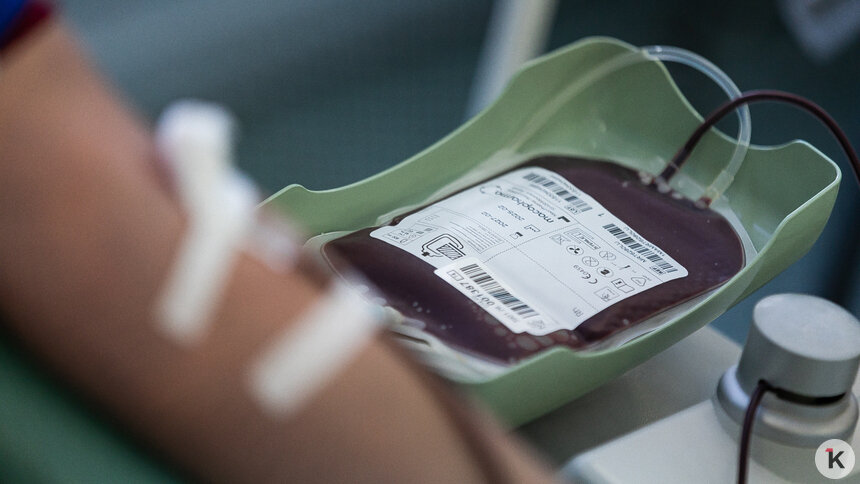 В Федеральном регистре доноров костного мозга благодаря калининградцам за один день стало на 37 образцов крови больше - Новости Калининграда | Фото: Александр Подгорчук / «Клопс»