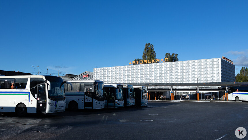 В Калининграде и области на один день отменят почти два десятка автобусных рейсов - Новости Калининграда | Фото: Александр Подгорчук / Архив «Клопс»