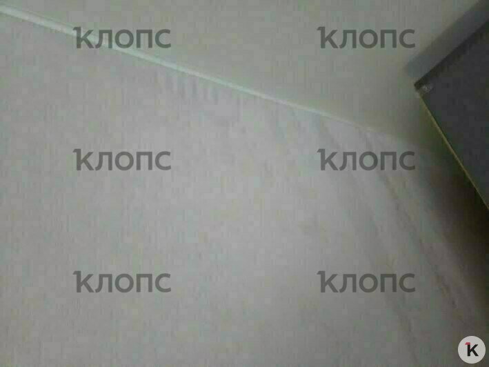 «Готова сама лезть на крышу на 8 месяце беременности»: у калининградки с потолка струёй течёт вода (фото, видео) - Новости Калининграда | Фото: очевидец