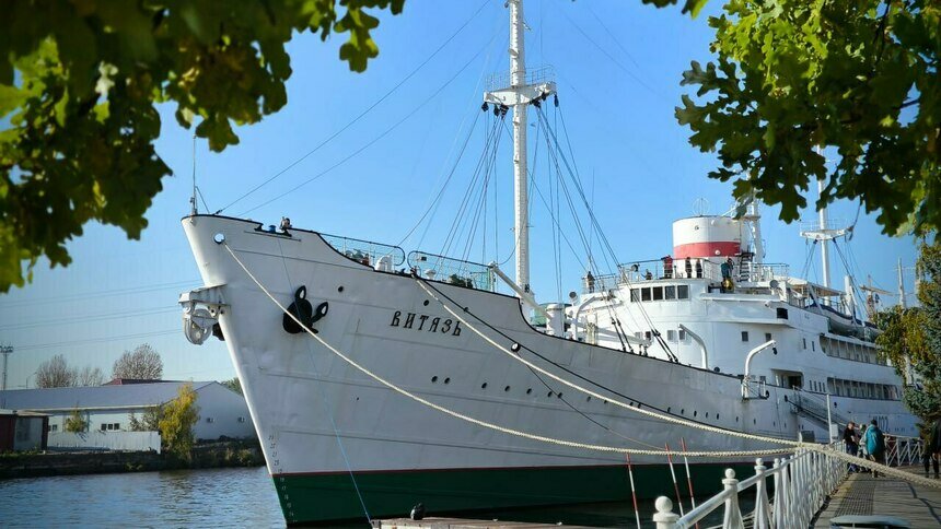 Фото предоставлены пресс-службой Музея Мирового океана