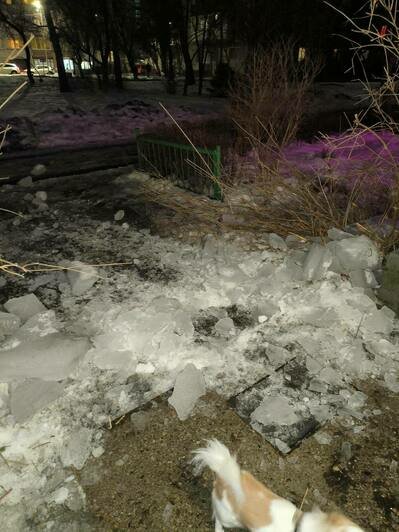 Калининградка чудом уцелела, когда с крыши её пятиэтажки рухнула глыба наледи (видео)  - Новости Калининграда | Фото: Анна