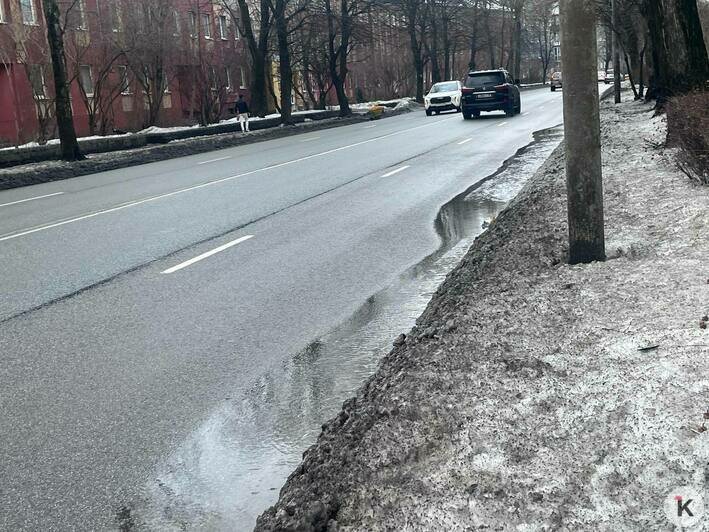 В центре Калининграда из-под асфальта бьёт фонтан, обходившая потоп женщина разбила лицо на гололёде (фото) - Новости Калининграда | Фото: «Клопс»