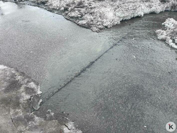 В центре Калининграда из-под асфальта бьёт фонтан, обходившая потоп женщина разбила лицо на гололёде (фото) - Новости Калининграда | Фото: «Клопс»