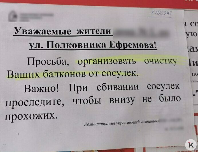 Велели дожидаться ущерба: юрист рассказал, как защитить свои права калининградцам, которых топит из-за оттепели (фото)   - Новости Калининграда | Фото: Максим