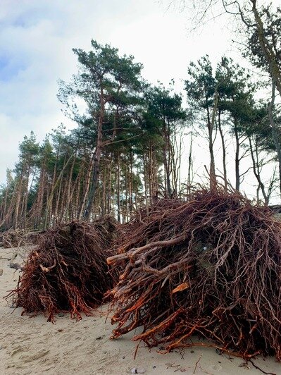 2022 год. Зимние ураганы разрушили побережье | Фото: Александр Мелехов