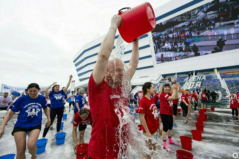 Гигантское чучело, опасная оттепель и сбитый в Калининграде ребёнок: 13 событий, которые обсуждали в длинные выходные   - Новости Калининграда | Фото: Александр Подгорчук / «Клопс»