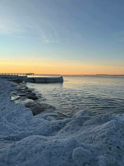 «Лиса! Смотрите!»: туристка из Вятки приехала в Калининград в разгар морозов и изменила отношение к отдыху на море - Новости Калининграда | Фото: Анастасии из Вятки
