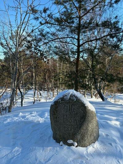 «Лиса! Смотрите!»: туристка из Вятки приехала в Калининград в разгар морозов и изменила отношение к отдыху на море - Новости Калининграда | Фото: Анастасии из Вятки