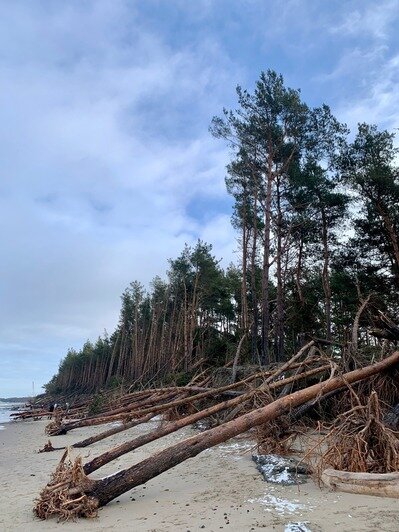 2022 год. Зимние ураганы разрушили побережье | Фото: Александр Мелехов