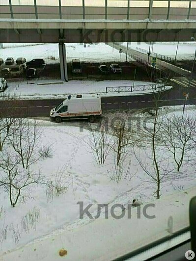 Гигантское чучело, опасная оттепель и сбитый в Калининграде ребёнок: 13 событий, которые обсуждали в длинные выходные   - Новости Калининграда | Фото: очевидец 