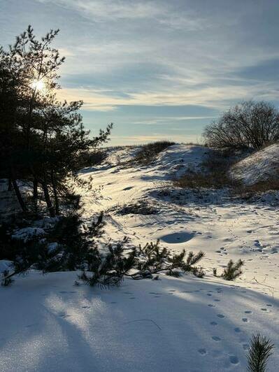 «Лиса! Смотрите!»: туристка из Вятки приехала в Калининград в разгар морозов и изменила отношение к отдыху на море - Новости Калининграда | Фото: Анастасии из Вятки