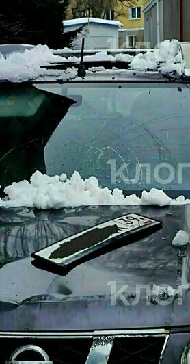 Гигантское чучело, опасная оттепель и сбитый в Калининграде ребёнок: 13 событий, которые обсуждали в длинные выходные   - Новости Калининграда | Фото: очевидцы