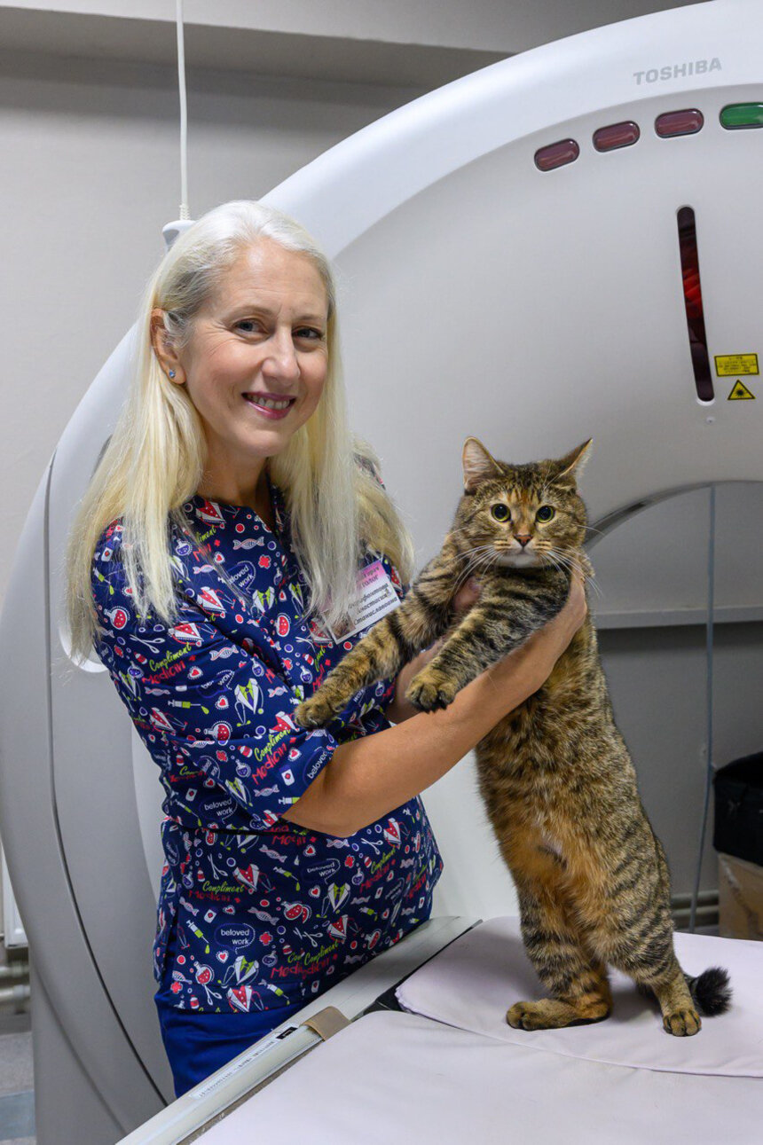 Анастасия Фарафонтова советует владельцам внимательно относиться к важному этапу жизни животного – беременности  | Фото: Александр Мелехов 