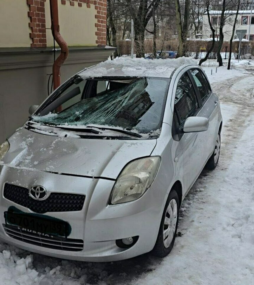 Ущерб должен возместить владелец зхадния | Фото очевидца из социальных сетей