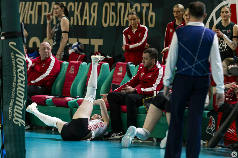 Гигантское чучело, опасная оттепель и сбитый в Калининграде ребёнок: 13 событий, которые обсуждали в длинные выходные   - Новости Калининграда | Фото: Александр Подгорчук / «Клопс»