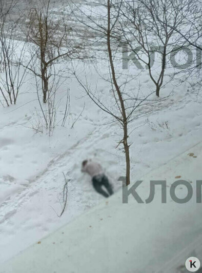 Гигантское чучело, опасная оттепель и сбитый в Калининграде ребёнок: 13 событий, которые обсуждали в длинные выходные   - Новости Калининграда | Фото: очевидец 