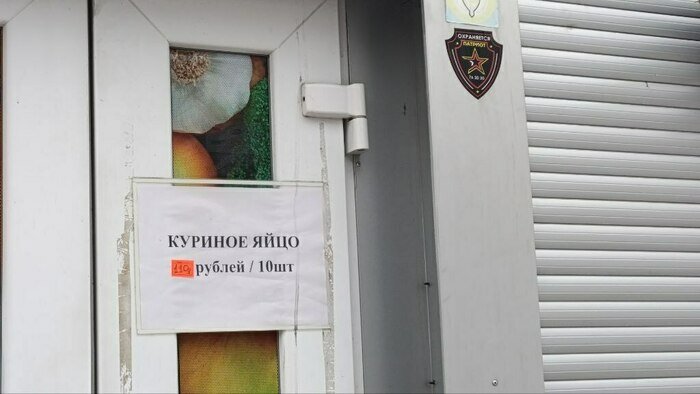 В Калининграде подорожали яйца: «Клопс» выяснял причины и разыскивал самый недорогой десяток   - Новости Калининграда | Фото: Александр Подгорчук / Архив «Клопс»