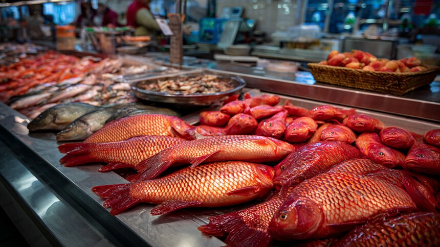 Рыбные истории: три рецепта для тех, у кого чешуйки встают дыбом от удовольствия - Новости Калининграда | Иллюстрация: Алиса Игонина / Midjourney