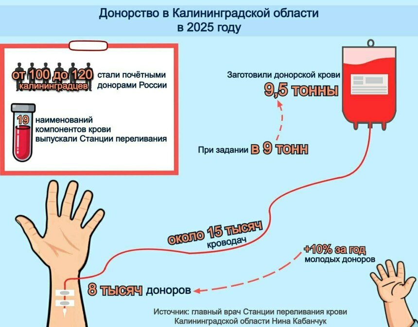 Калининградские больницы полностью обеспечены донорской кровью (инфографика) | Инфографика: Артем Пахоменко