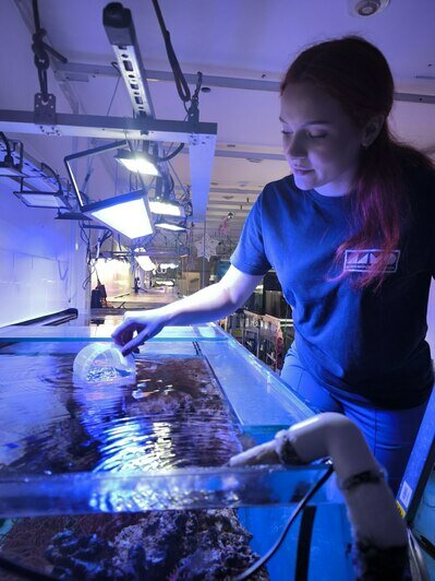 В Музее Мирового океана рассказали, как ухаживают за аквариумами (фото, видео)   - Новости Калининграда | Фото: пресс-служба Музея Мирового океана