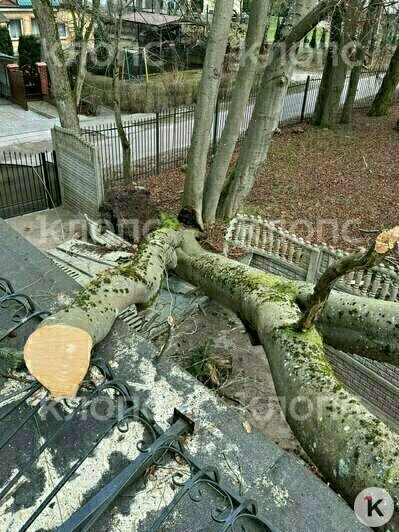 Дерево упало на крышу мансарды  | Фото: предоставила хозяйка дома