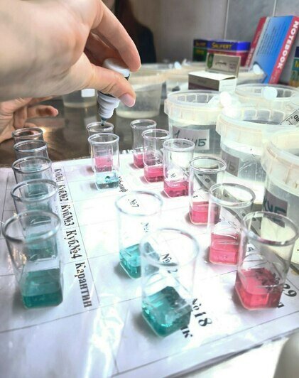 В Музее Мирового океана рассказали, как ухаживают за аквариумами (фото, видео)   - Новости Калининграда | Фото: пресс-служба Музея Мирового океана