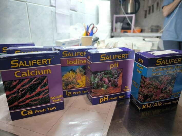 В Музее Мирового океана рассказали, как ухаживают за аквариумами (фото, видео)   - Новости Калининграда | Фото: пресс-служба Музея Мирового океана