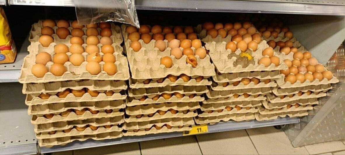 В Калининграде подорожали яйца: «Клопс» выяснял причины и разыскивал самый недорогой десяток   - Новости Калининграда | Фото: «Клопс»