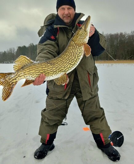 «Самая красивая щука — на Виштынце»: калининградец вытащил из лунки метровую рыбину (фото)  - Новости Калининграда | Фото: Михаил