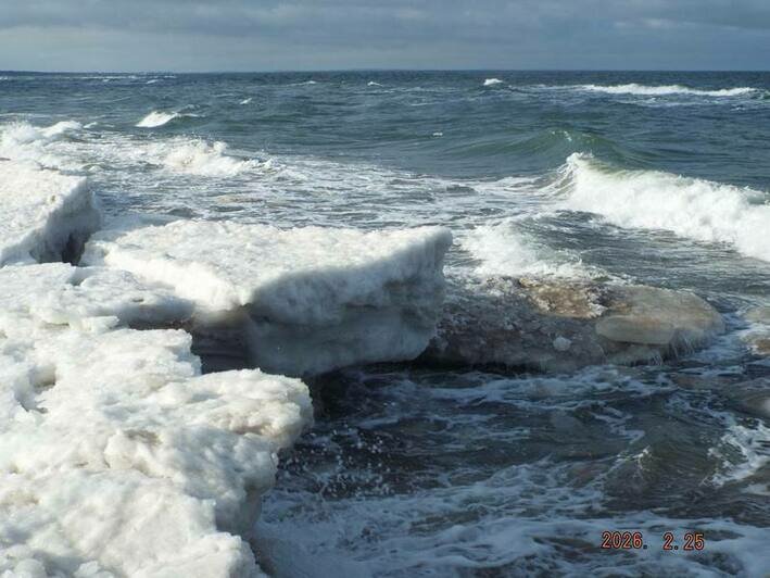 На Куршской косе начала разрушаться ледяная корка у моря (фото) - Новости Калининграда | Фото: канал национального парка «Куршская коса» / Телеграм