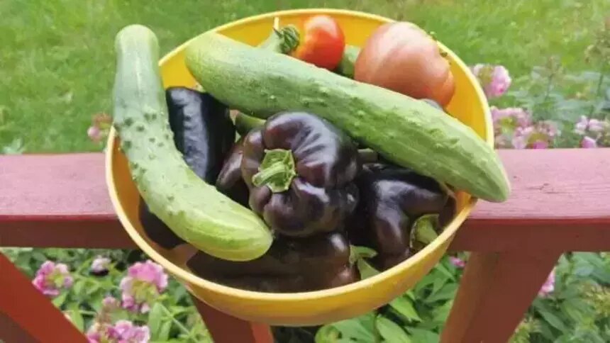 Больше всего за месяц подорожали свежие овощи | Фото: архив "СК"