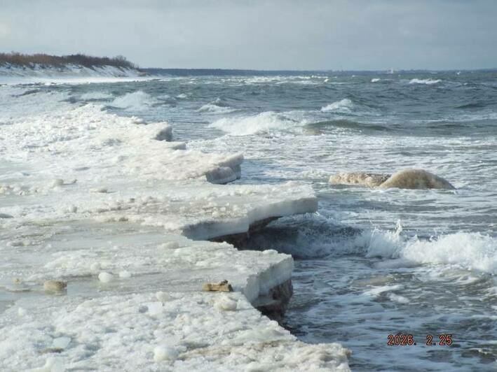 На Куршской косе начала разрушаться ледяная корка у моря (фото) - Новости Калининграда | Фото: канал национального парка «Куршская коса» / Телеграм